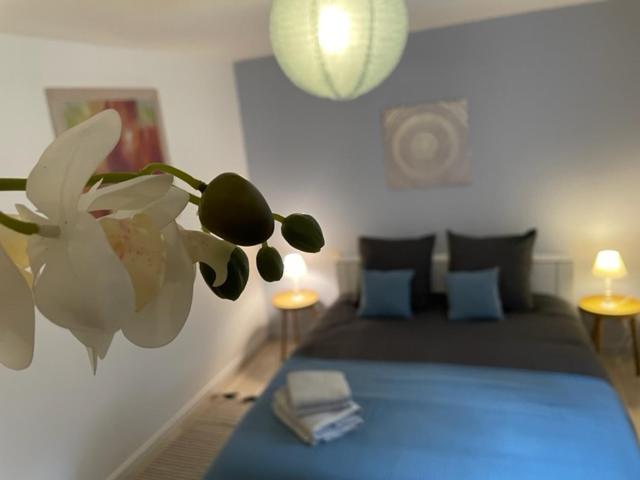 Appartement Cosy Hyper Centre Châteauroux Exteriör bild